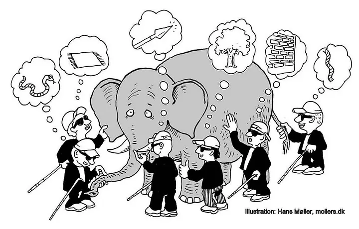 Cartoon of the blind men and the elephant: each one touches a different part and describes a different animal